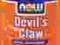 Devil's Claw, 500 mg, Now 100 kaps