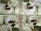 Serwetki do decoupage - 0009