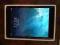 APPLE IPAD MINI 16 GB WIFI PLUS CELLULAR LTE