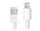 Kabel USB Lightning do Apple iPhone 5 iPod iPad Gw