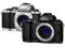 OLYMPUS OM-D E-M10 WiFi FullHD Wizjer LIVE MOS FV