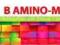 HAPLABS B amino-max 300 ml