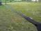 Sari Slackline EasyLine Black Sabat 12,5m