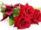 Róże na Dzień Kobiet Bukiet na Prezent 8 marca HIT