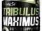 BioTech USA Tribulus Maximus 90tabl. MOCNY!!!