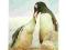 Pocztówka, Pingwin karmiący młode /ping.białobrewy