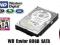 WD Caviar SE 80GB SATA 8MB WD800JD / SKLEP / GWAR