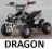 MINI QUAD DRAGON 49cc WYSYŁKA !! + różne MODELE---