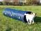 TRIXIE AGILITY TUNEL 2m (TX-3210) PROMOCJA!!!!!!!