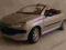 Peugeot 206 CC 1/18 Solido RARYTAS