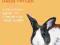 RABBIT (COLLINS FAMLIY PET GUIDE) David Taylor