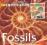 FOSSILS (IDENTIFICATION GUIDE)