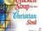 CHICKEN SOUP FOR THE CHRISTIAN SOUL Jack Canfield