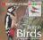 BIRDS (IDENTIFICATION GUIDE) Lambert, Pearson