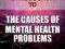 INTRODUCTION TO THE CAUSES OF MENTAL HEALTH PROBLE