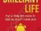 HOW TO HAVE A BRILLIANT LIFE Michael Heppell