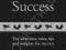THE LITTLE BLACK BOOK OF CAREER SUCCESS Wilson