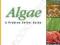 ALGAE: A PROBLEM SOLVER GUIDE Julian Sprung