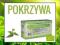 LIŚĆ POKRZYWY POKRZYWA HERBATKA EKOLOGICZNA 20X2G