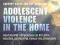 ADOLESCENT VIOLENCE IN THE HOME Routt, Anderson