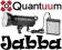 LAMPA QUANTUUM DP-300 + BATTERYPACK DP-6 DUALPOWER