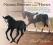 NATURE, NURTURE AND HORSES Paul Belasik