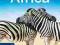 LONELY PLANET AFRICA (TRAVEL GUIDE) Planet, Smith