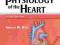 PHYSIOLOGY OF THE HEART Arnold Katz