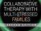 COLLABORATIVE THERAPY WITH MULTI-STRESSED FAMILIES