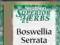 SWANSON BOSWELLIA SERRATA STAWY 30k. EKSTRACT