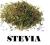 STEVIA stewia Liście suszone 100%Naturalne 100G