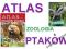 Atlas ptaków + Atlas ptaków Polski ZOOLOGIA PTAKI