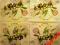 Serwetki do decoupage NR 565 - 1szt.- OLIWKI