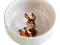 Miska ceramiczna dla królika, gryzoni 300 ml 11 cm