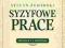 SYZYFOWE PRACE - STEFAN ŻEROMSKI - AUDIOBOOK HER