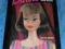 THE ULTIMATE BARBIE DOLL BOOK - MARCIE MELILLO