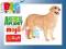 FIGURKA PIES RASY GOLDEN RETRIVER ANIMAL PLA F7198