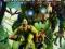 ENSLAVED ODYSSEY TO THE WEST [XBOX360] U *SKLEP