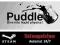 Puddle / KLUCZ / AUTOMAT w 5min / STEAM