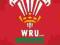 Wales R.U (Crest) - plakat, plakaty 61x91,5 cm