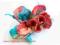 OD 1 ZŁ! BROSZKA filc kwiat turkus morelA czerwony