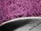 Wykładzina Shaggy Tampa 500 cm gr.1,5cm Fiolet HIT