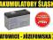 Akumulator SSB SBH 300-12 12V/9Ah NAJMOCNIEJSZY