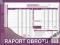 Raport obrotu 413-1; ZABRZE; FV