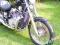 Gmol, gmole HONDA SHADOW VT 800 VT800 V-TWIN