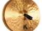 TALERZE ORKIESTROWE ZILDJIAN K SYMPHONIC 17'' KPL!