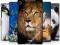 ASUS GOOGLE NEXUS 7 2013 Head case WILDLIFE etui