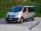 Renault Trafic bus 9 osobowy wynajem do wynajecia