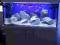 FULL ZESTAW 120x50x50 300L AQUARIUM-FISH KATOWICE