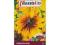 Rudbekia dwubarwna TETRA GLORIOSA DAISY 1g.